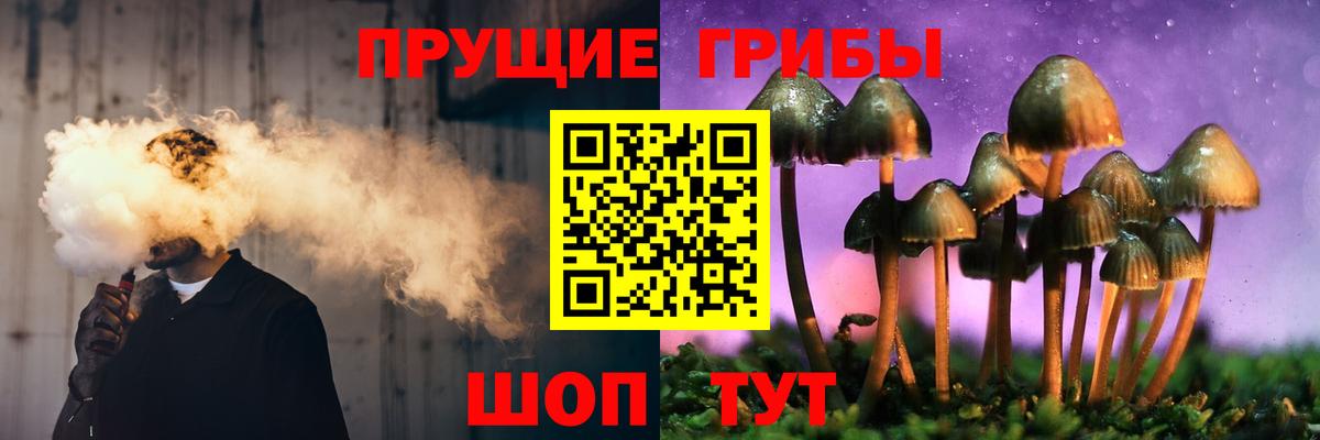 Саратов  Галлюциногенные грибы Psilocybine cubensis  купить наркотик  Вход с VPN 